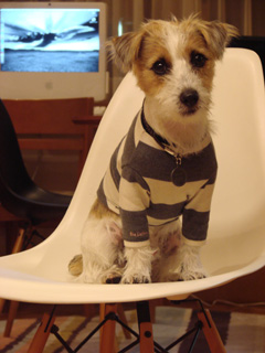 f0080105_315065.jpg