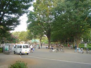 f0086814_3194037.jpg