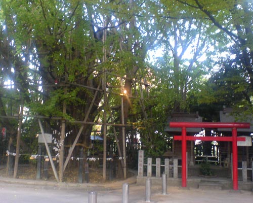 a0019224_2194329.jpg