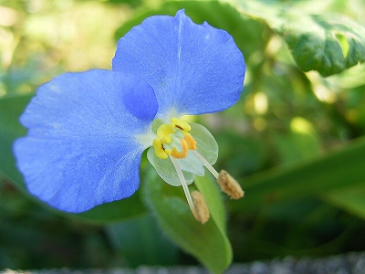 f0029038_2211272.jpg