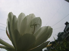 a0033552_1482231.jpg