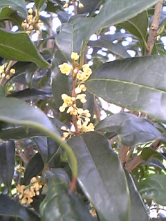 e0040452_21564461.jpg