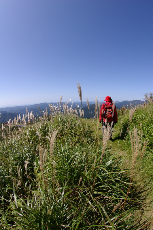 ９月２３日　吾妻山のアケボノソウ_a0009554_22453789.jpg