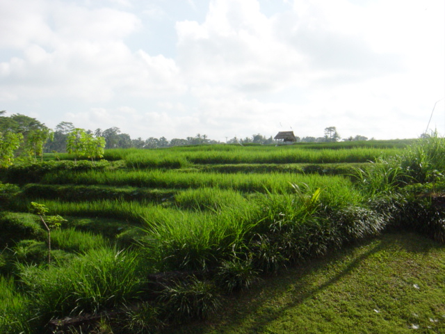 f0036857_2345341.jpg