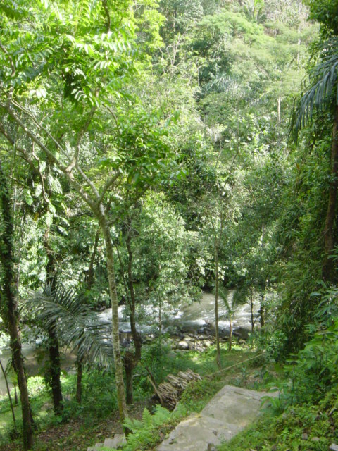 f0036857_23562062.jpg