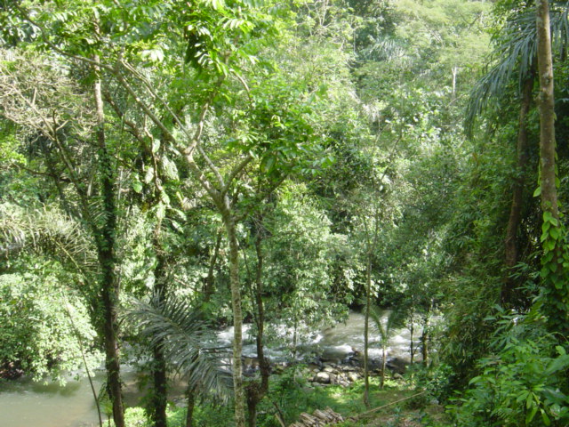 f0036857_23564744.jpg
