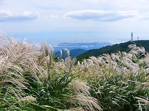 六甲山ハイク：六甲山最高峰・東お多福山（６）六甲山最高峰_b0063958_2239426.jpg