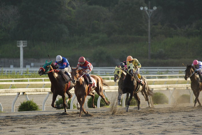 2006年9月23日（土） 高知競馬_a0077663_2015226.jpg