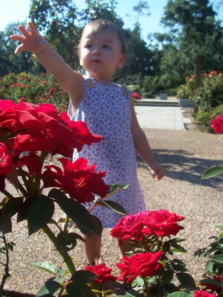 Ｌｅｕ　Ｇａｒｄｅｎｓ_e0028272_6204257.jpg