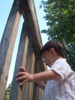 e0028272_6242740.jpg