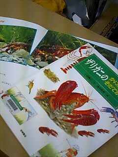 図書館_a0040876_21435312.jpg