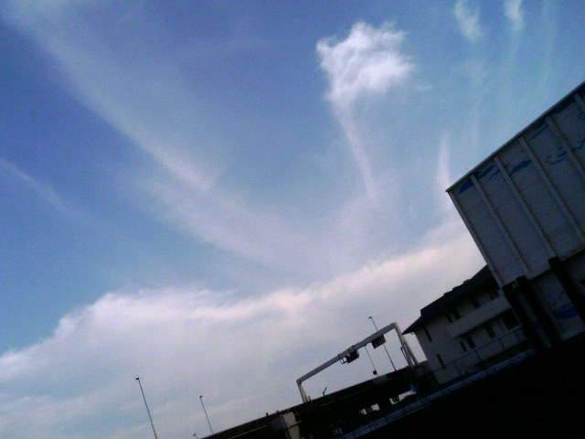 f0028584_32478.jpg