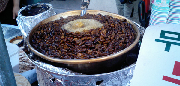 c0010590_04156.jpg