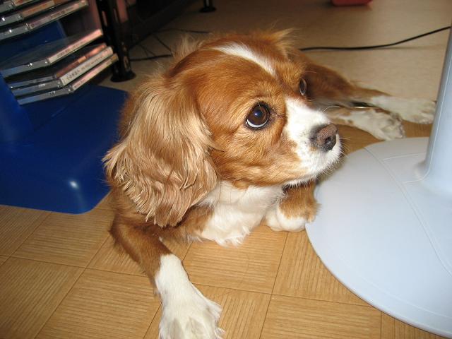 a0068693_23124937.jpg