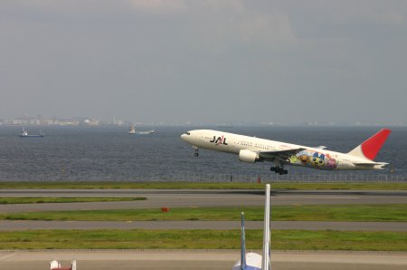 空飛ぶ飛行機、歩く鳥_c0011696_6585629.jpg