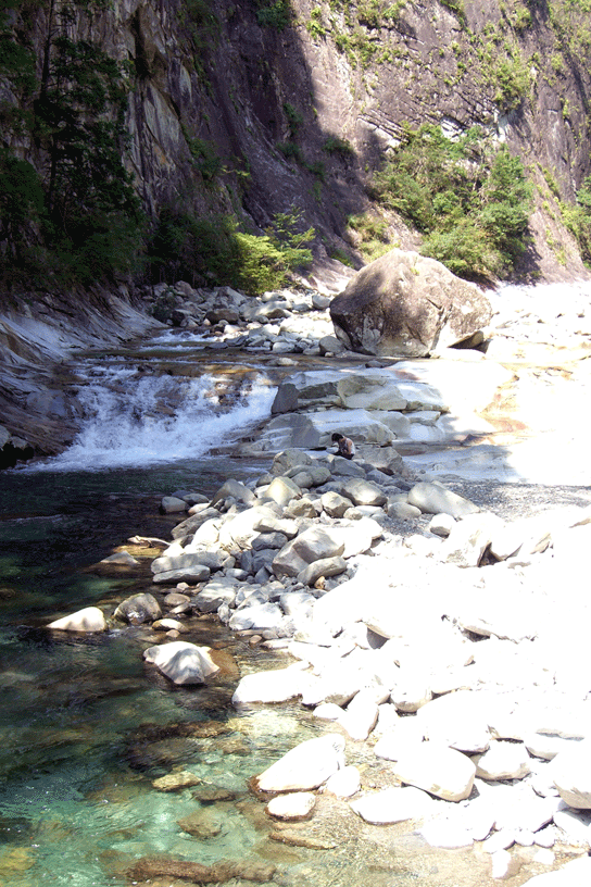 e0063003_1137795.gif