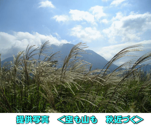『どげぇかえオバサン』さんからのメール便り_d0070316_19124285.gif