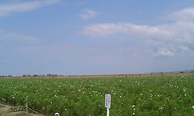 b0097729_2157232.jpg
