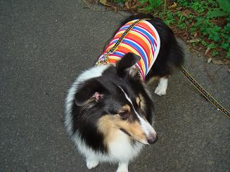f0046854_1536466.jpg