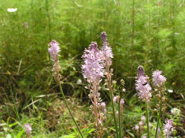 a0018655_17154966.jpg