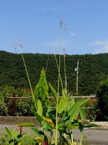 a0018655_17185196.jpg