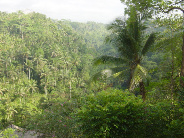 f0036857_032840.jpg