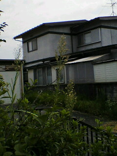 c0081883_2324475.jpg