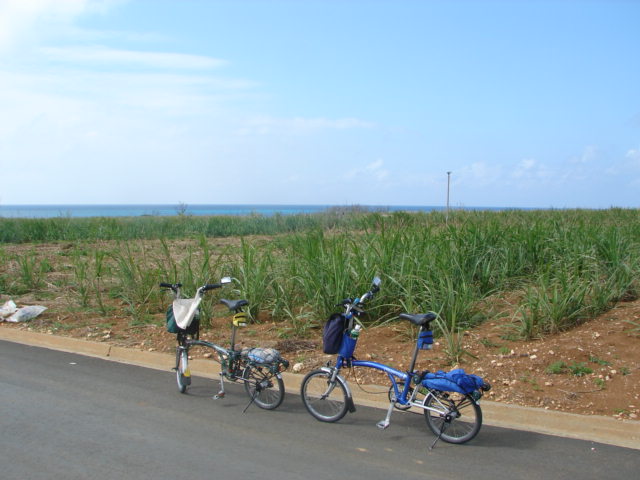 2006年1月20日（金）  離島探訪・来間島ポタリング_d0093596_16592541.jpg