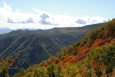 黒岳の紅葉_a0078106_10343950.jpg