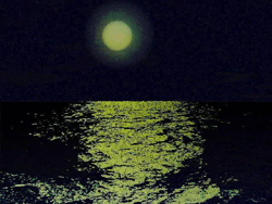 a0055913_0112082.gif
