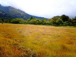d0054930_1036310.jpg
