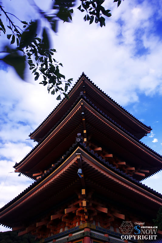 京都・高台寺 6_f0005935_08432.jpg