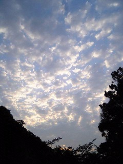 見ましたか?_a0075738_1620680.jpg