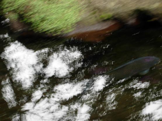 b0089338_27597.jpg