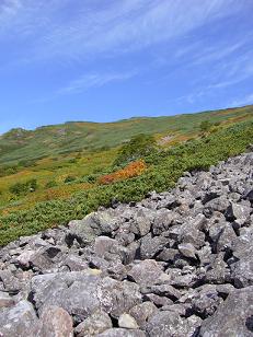 北海道4日目　トムラウシ山（とむらうしやま）:百名山　前編_f0065941_220617.jpg