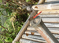 c0029148_1443789.jpg