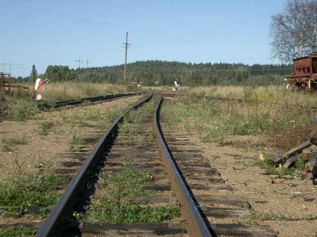c0034850_21595195.jpg