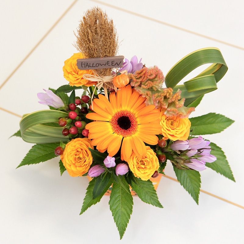 ハロウィンのお花_e0025661_654219.jpg