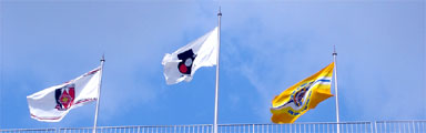 もっとスペースを使いましょうよ。あの鳩のように_c0024176_2105094.jpg