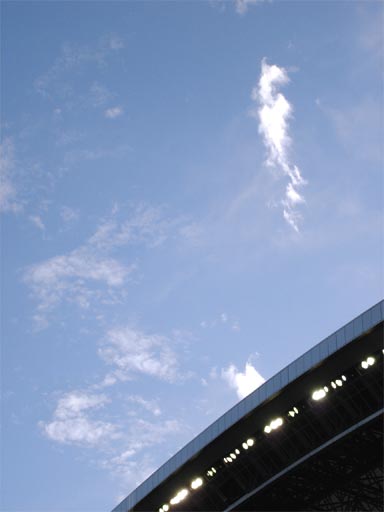 もっとスペースを使いましょうよ。あの鳩のように_c0024176_21153035.jpg