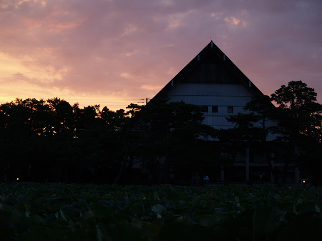 故郷の風景　howdygotoまた故郷に帰る_f0024992_883248.jpg