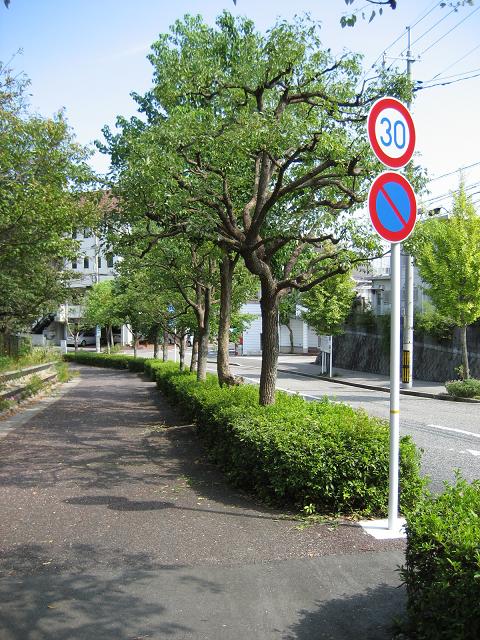 a0068693_155731.jpg