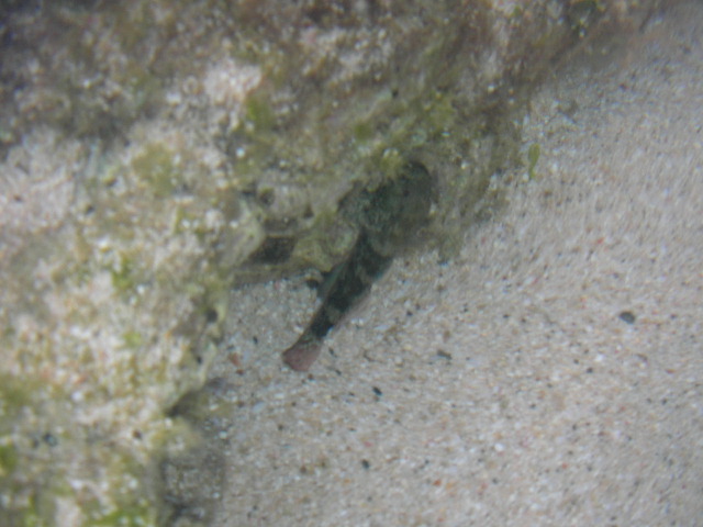 b0097394_19084.jpg