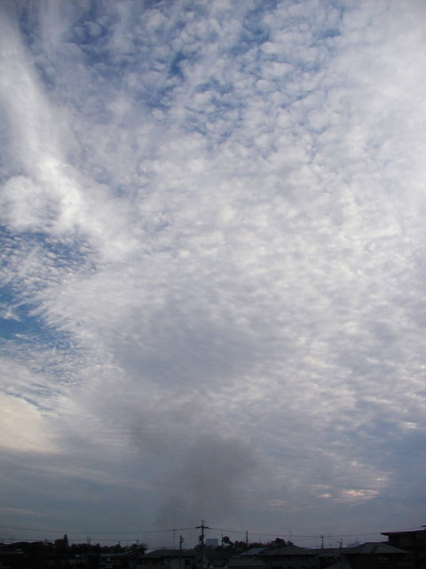 a0030713_20364225.jpg