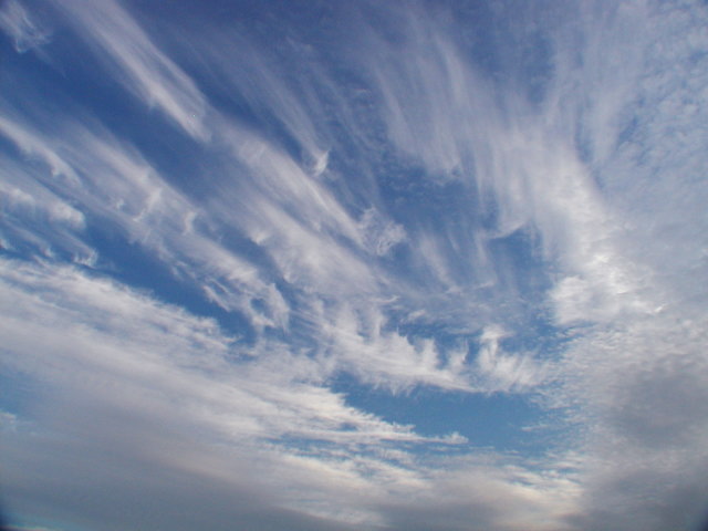 a0030713_2037061.jpg