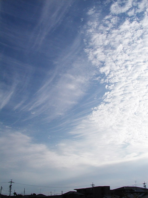 a0030713_20372125.jpg