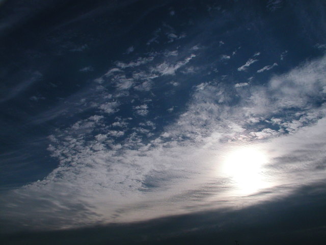 a0030713_20402639.jpg