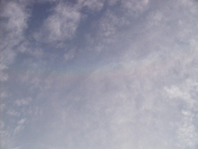 a0030713_20481386.jpg