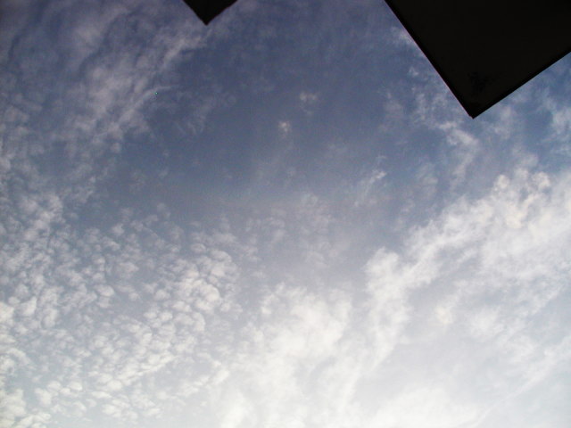 a0030713_20485810.jpg