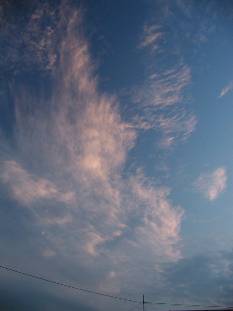 a0030713_20533734.jpg